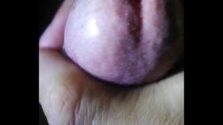 Tor dam forbud nhieu tinh voi quan masse em nhi Tor dam forbud nhieu tinh voi quan masse em nhi