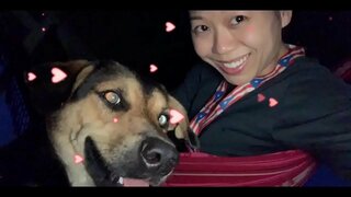 LE GOUVERNEMENT EST VOTRE ENNEMI, &amp;amp; ILS k. NOUS TOUS, SI VOUS N&#039;AGISSEZ PAS MAINTENANT! RENVERSER VOS GOUVERNEMENTS &amp;amp; LUMIÈRE TOUT 5G TOURS MAINTENANT AVANT qu&#039;IL ne k.S NOUS TOUS!!